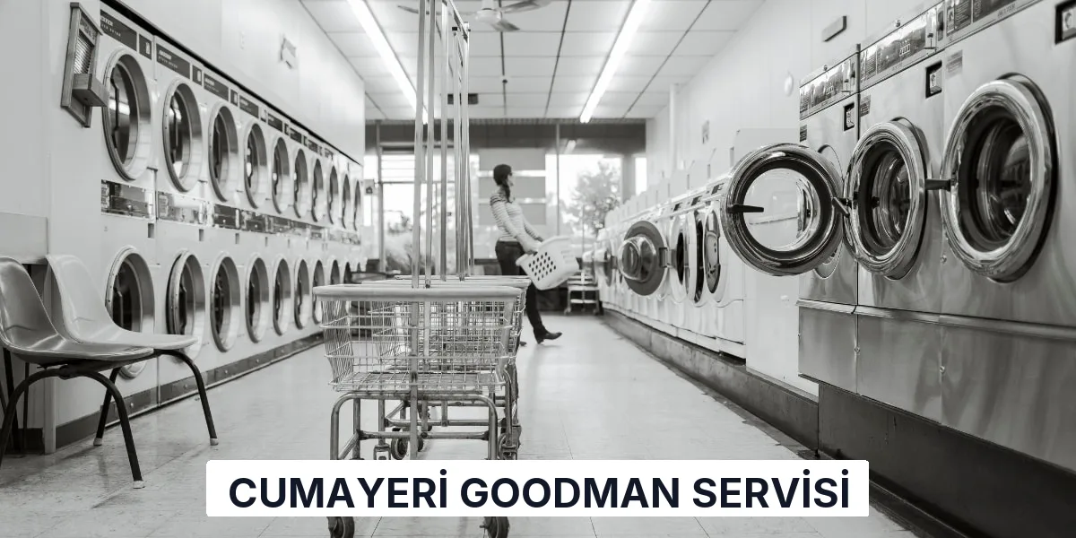 Cumayeri Goodman Servisi