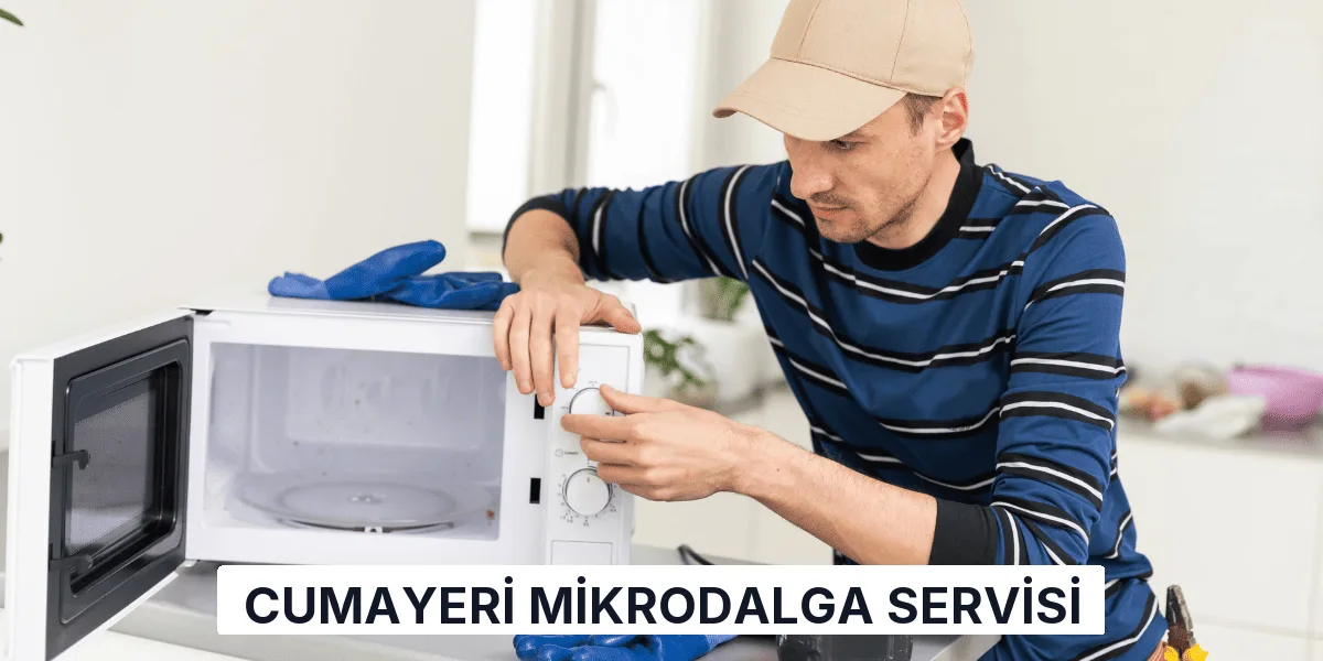 Cumayeri Mikrodalga Servisi
